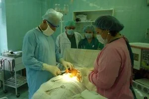 Тактико-специальное учение в  ГБУЗ Калининградской области «Гвардейская центральная районная больница» 