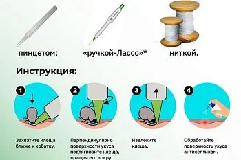 Действия в случае обнаружения клеща